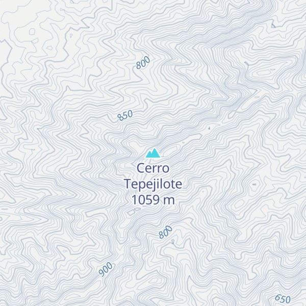 Map of Cerro Tepejilote