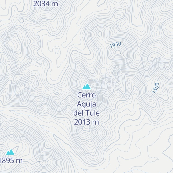Map of Cerro Aguja del Tule
