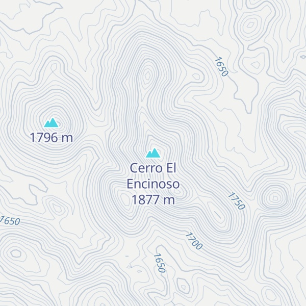 Map of Cerro El Encinoso