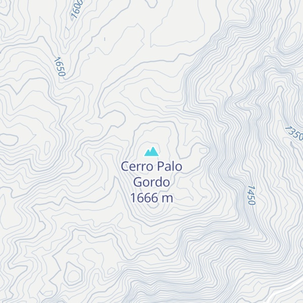 Map of Cerro Palo Gordo