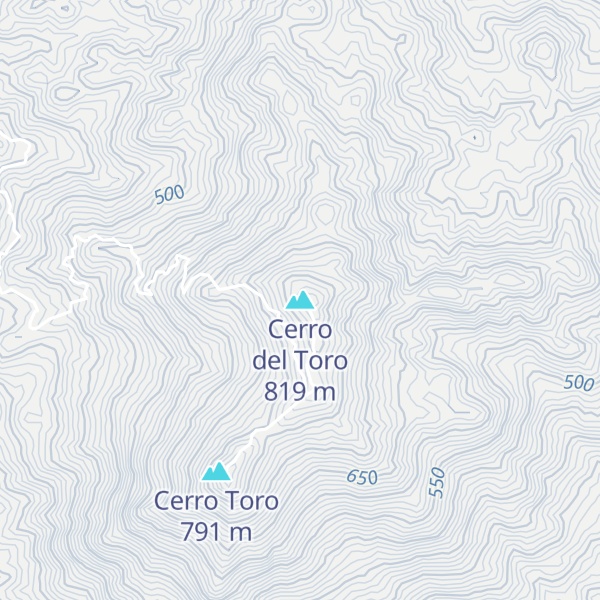 Map of Cerro del Toro
