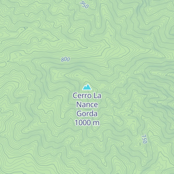 Map of Cerro La Nance Gorda