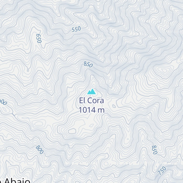 Map of El Cora