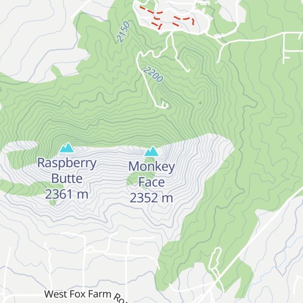 Map of Monkey Face