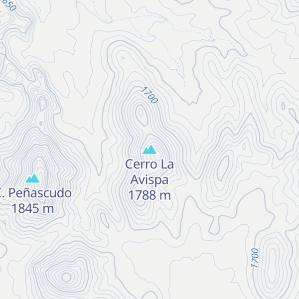 Map of Cerro La Avispa