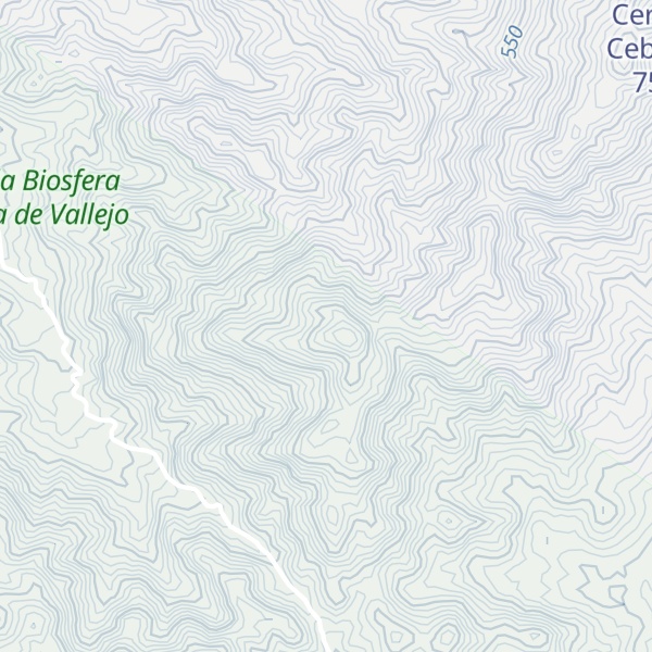 Map of Cerro El Espino
