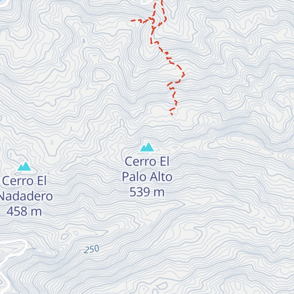 Map of Cerro El Palo Alto