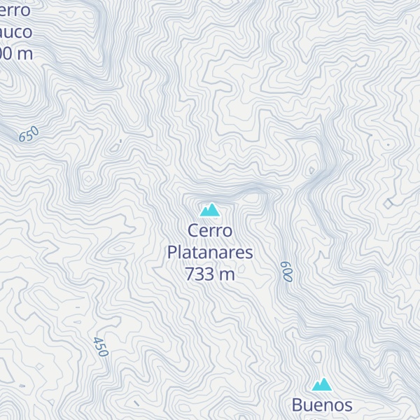 Map of Cerro Platanares