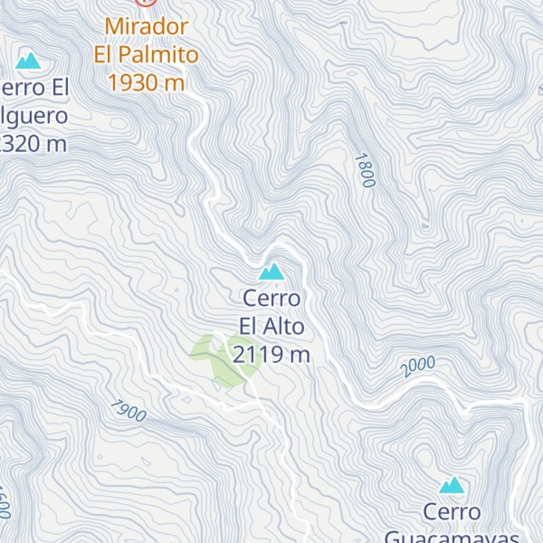 Map of Cerro El Alto