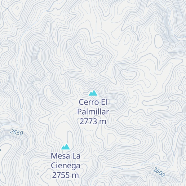 Map of Cerro El Palmillar