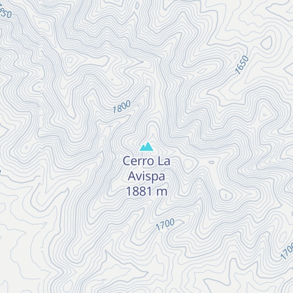 Map of Cerro La Avispa