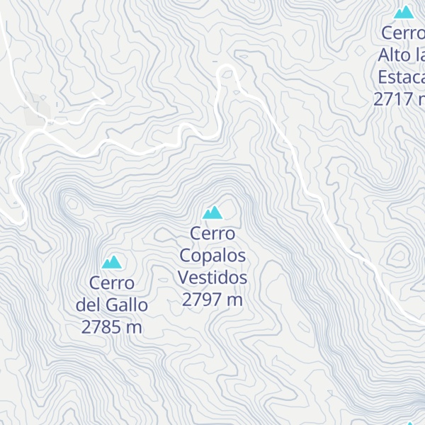 Map of Cerro Copalos Vestidos