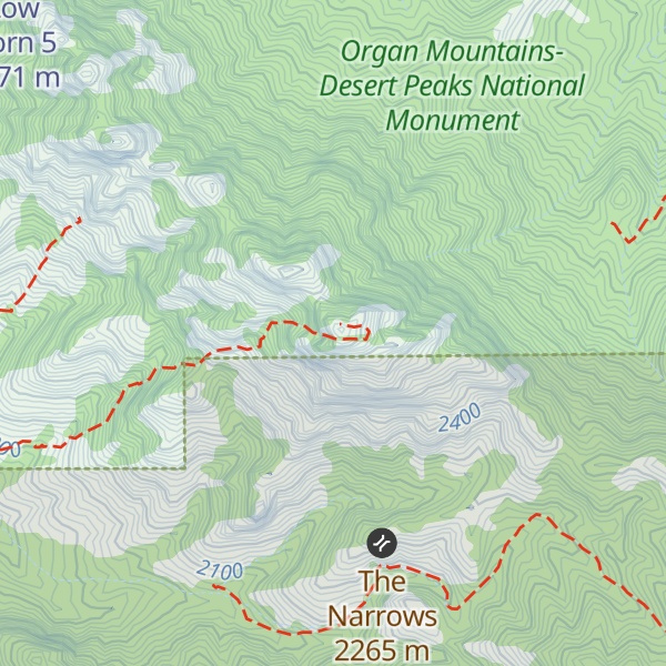 Map of Organ Needle
