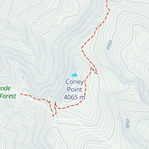 Map of Coney Point