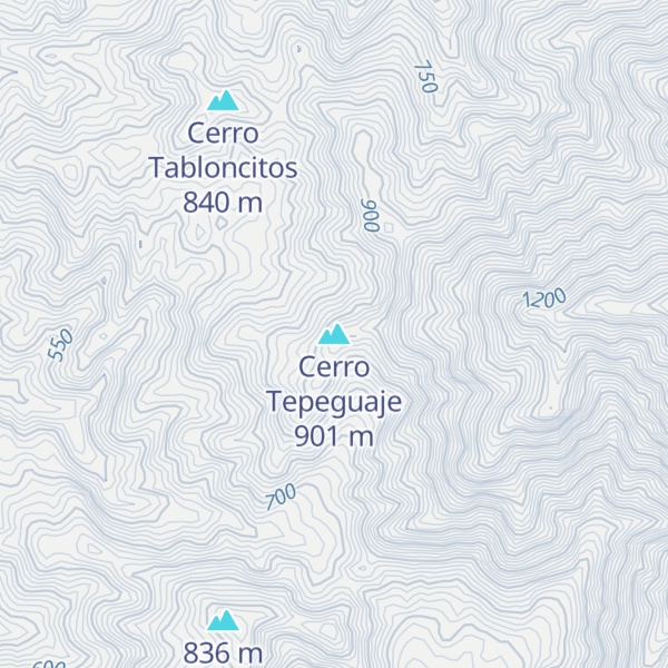 Map of Cerro Tepeguaje