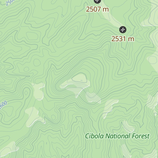Map of Rincon