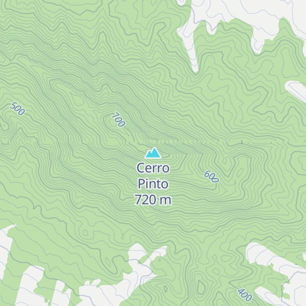 Map of Cerro Pinto