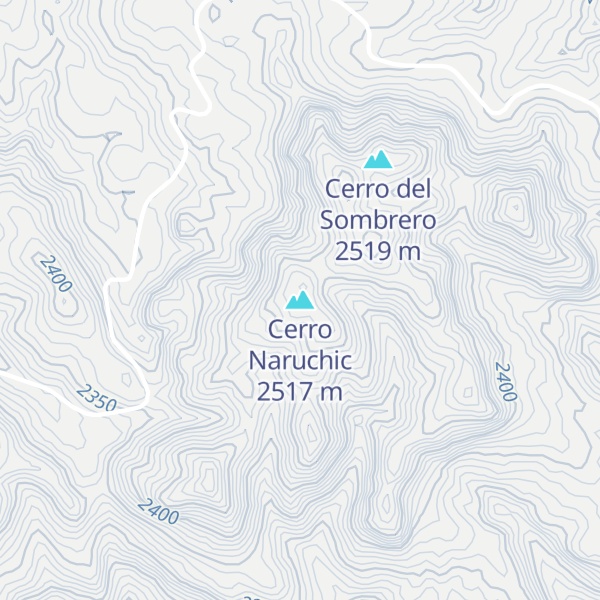 Map of Cerro Naruchic