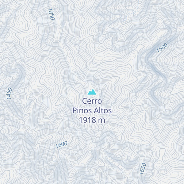 Map of Cerro Pinos Altos
