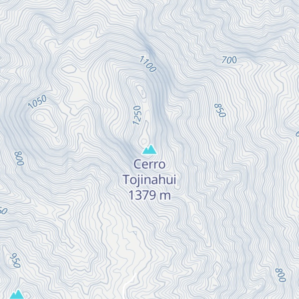 Map of Cerro Tojinahui