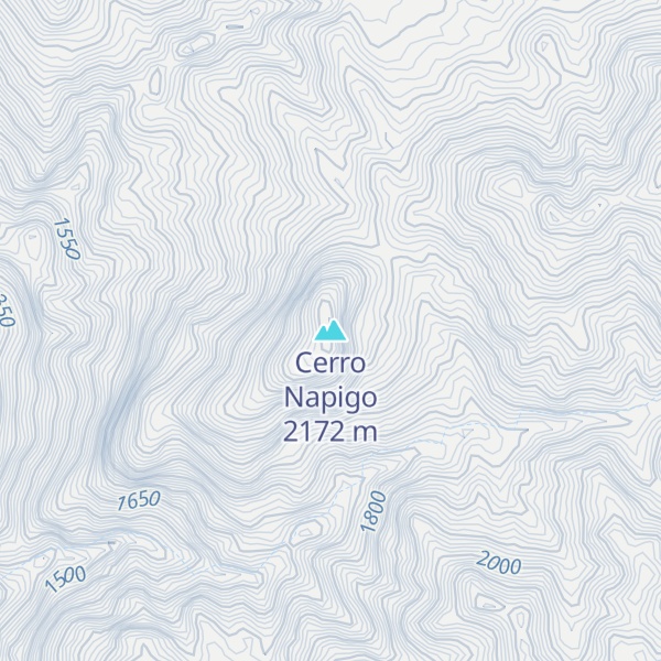 Map of Cerro Napigo