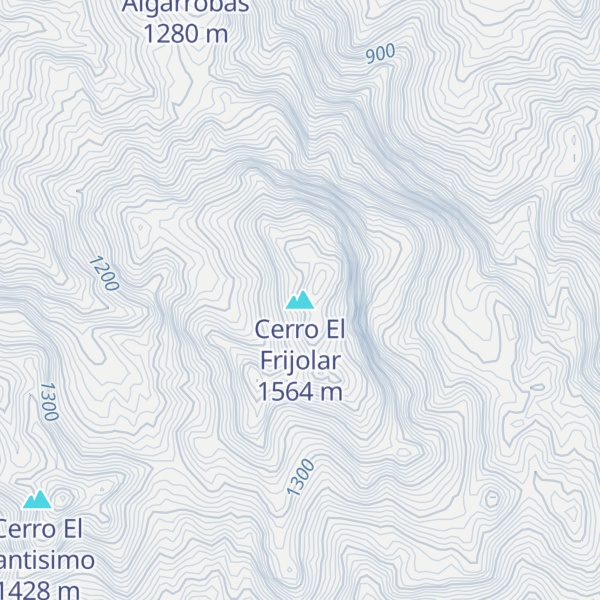 Map of Cerro El Frijolar