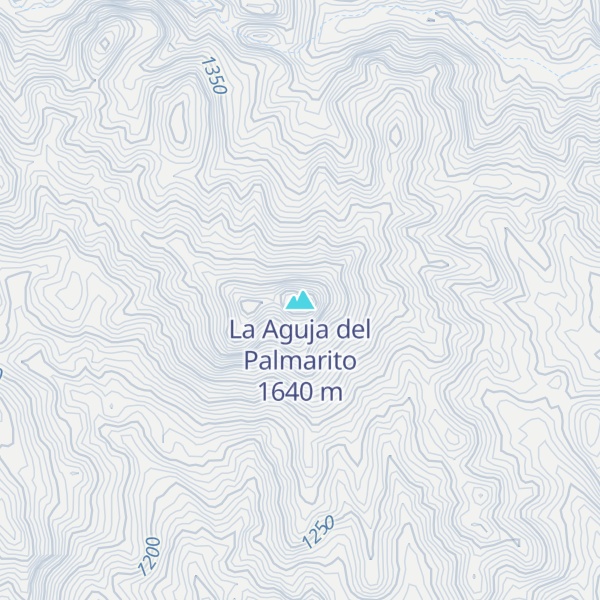 Map of La Aguja del Palmarito