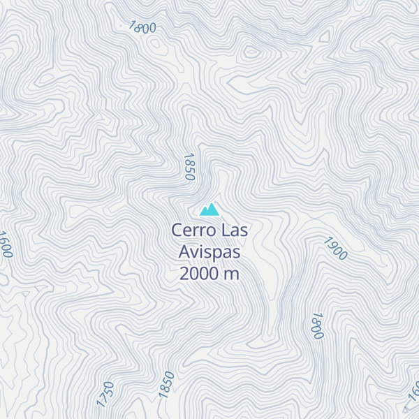 Map of Cerro Las Avispas