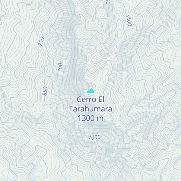 Map of Cerro El Tarahumara
