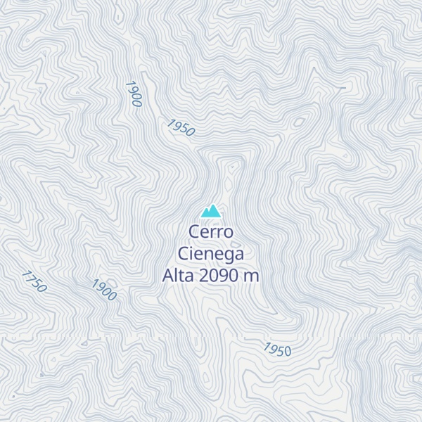 Map of Cerro Cienega Alta