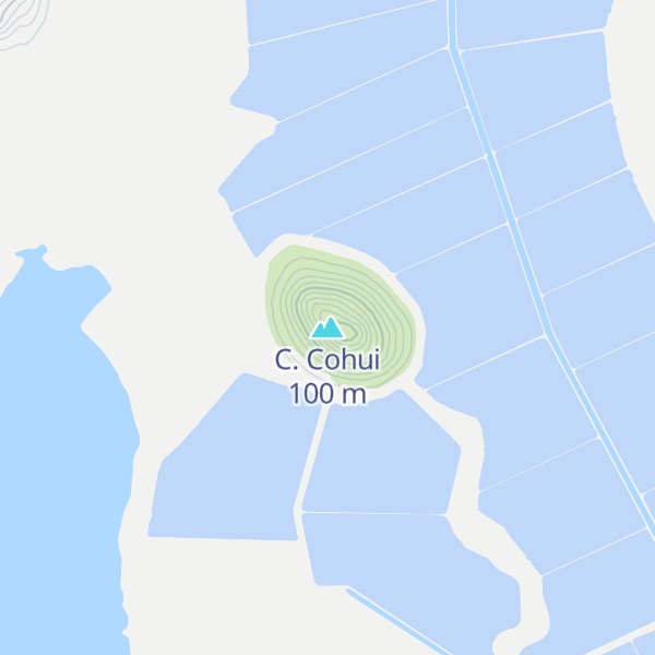 Map of C. Cohui