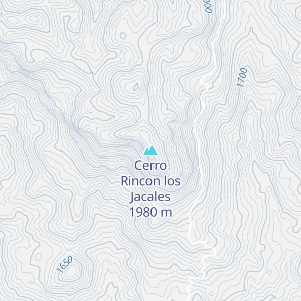 Map of Cerro Rincon los Jacales