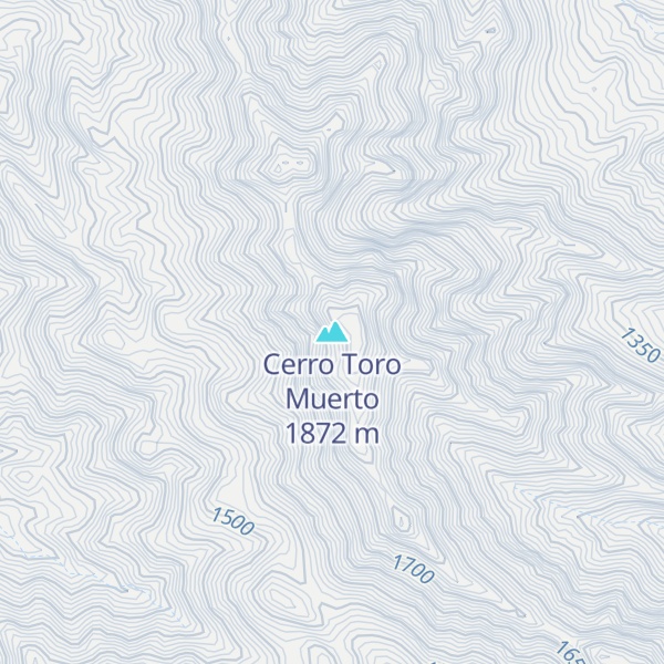 Map of Cerro Toro Muerto