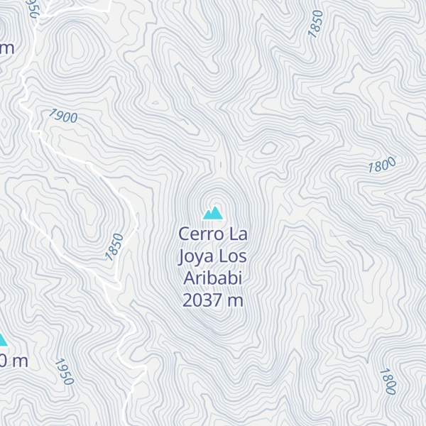 Map of Cerro La Joya Los Aribabi