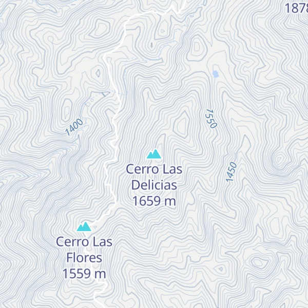 Map of Cerro Las Delicias