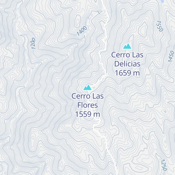 Map of Cerro Las Flores
