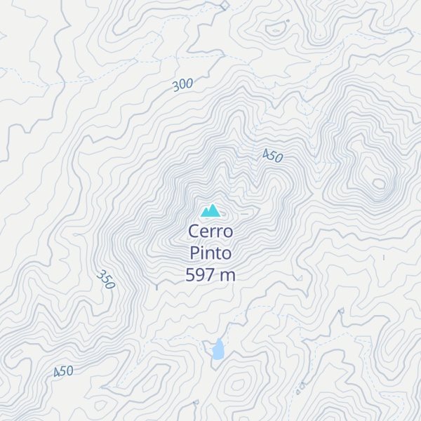 Map of Cerro Pinto