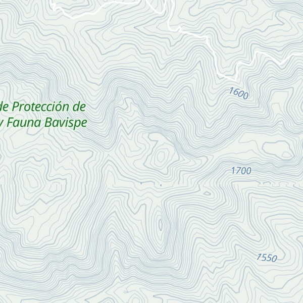 Map of Cerro Huepaberachi