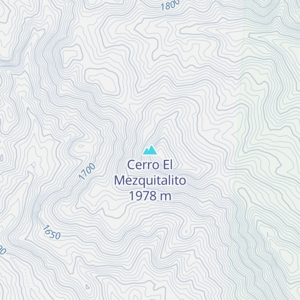 Map of Cerro El Mezquitalito