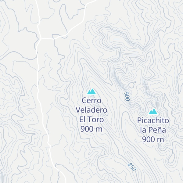 Map of Cerro Veladero El Toro