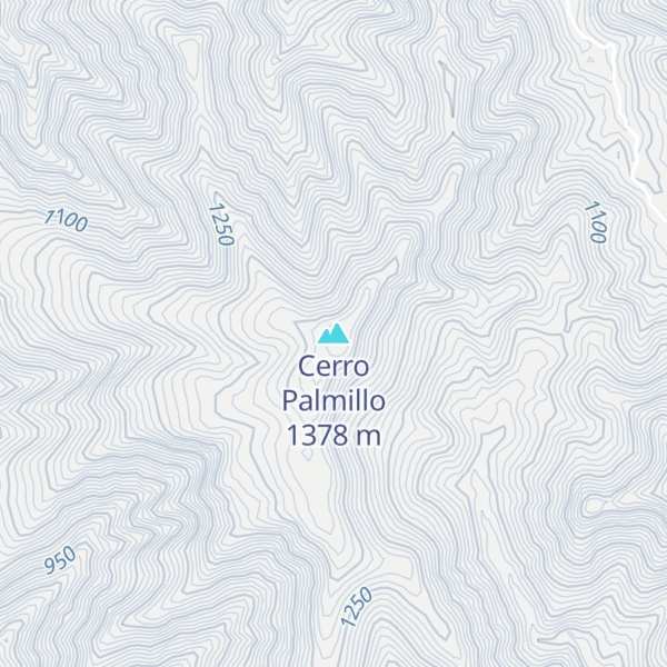 Map of Cerro Palmillo