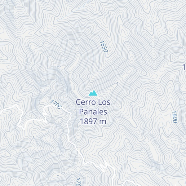 Map of Cerro Los Panales