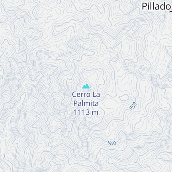 Map of Cerro La Palmita