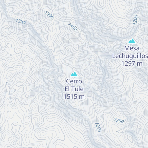 Map of Cerro El Tule