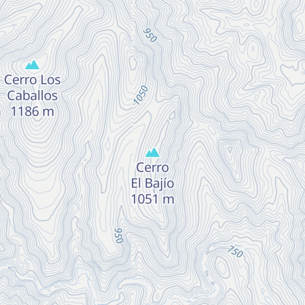 Map of Cerro El Bajío
