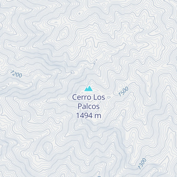 Map of Cerro Los Palcos
