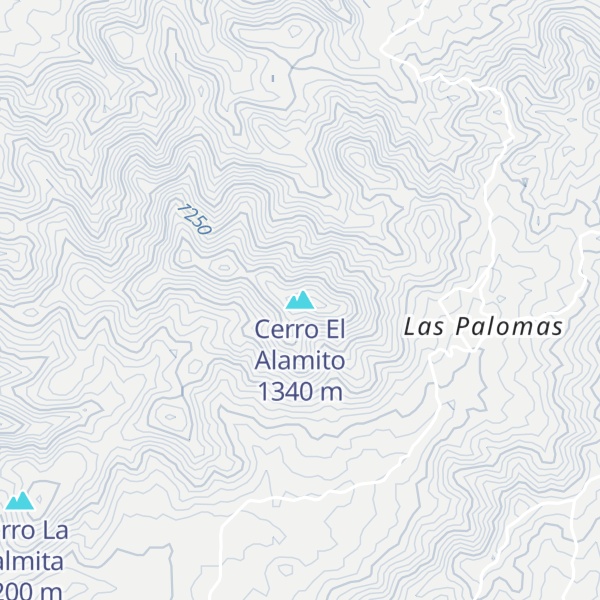 Map of Cerro El Alamito