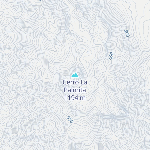 Map of Cerro La Palmita