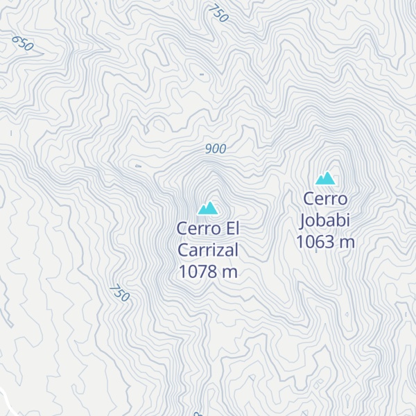 Map of Cerro El Carrizal