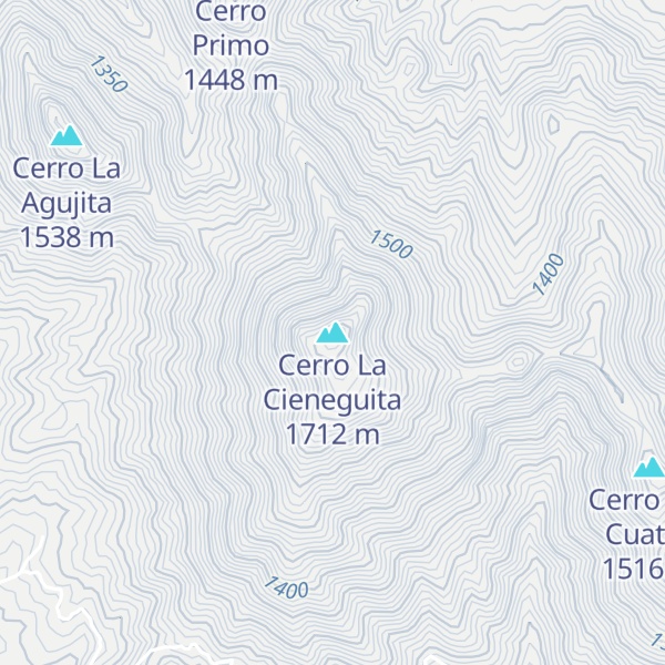 Map of Cerro La Cieneguita